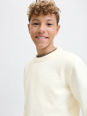 JORNORREBRO KNIT CREW NECK SN